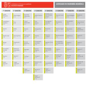 Descarga mapa curricular