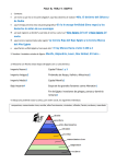 La Corona Roja del Bajo Egipto