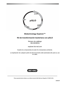 Biotechnology Explorer™ Kit de transformación - Bio-Rad
