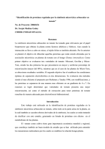 Identificación de proteínas reguladas por la simbiosis - SAPPI