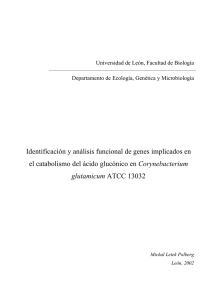 Identificación y análisis funcional de genes implicados en el