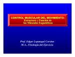Control Muscular del Movimiento Humano