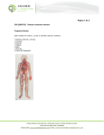 Página 1 de 2 G30 [1000276]. Sistema circulatorio