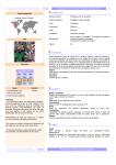 Clasificación: Descripción: Ciudados: Cultivo