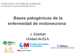 2. Bases patogénicas de la enfermedad de motoneurona