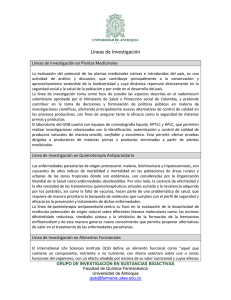 Líneas de Investigación - Universidad de Antioquia