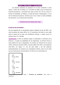 CARPO: FRACTURAS Y LUXACIONES