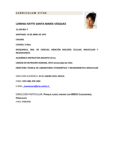 formato de curr&iacute;culo