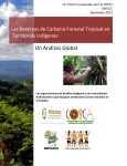 Un Análisis Global - Alianza Mesoamericana de Pueblos y Bosques