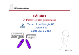 GTP_T12.Células - Ciencias con D. Germán