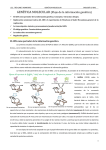 GENÉTICA MOLECULAR