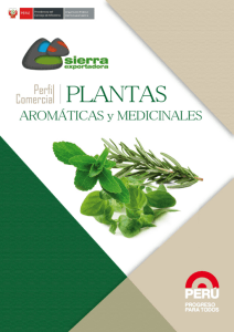 08_PERFIL COMERCIAL PLANTAS AROMATICAS MEDICINALES