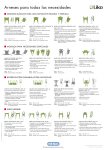 Arneses Overview Póster ES