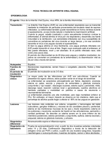 Arteritis Viral Equina