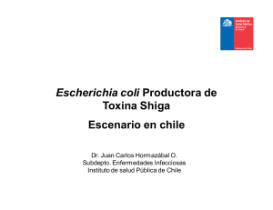 Escherichia coli Productora de Toxina Shiga Escenario en chile