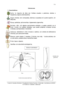 Solanaceae - Hipertextos del Área de la Biología