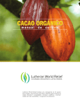 CACAO ORGANICO - Manual de Cultivo