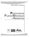 producción de plantas medicinales y aromáticas - UVG