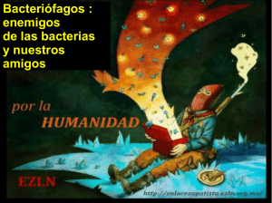 Bacteriófagos : enemigos de las bacterias y nuestros amigos