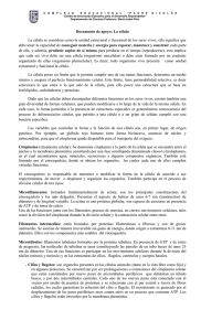 Documento de apoyo: La célula La célula se considera como la