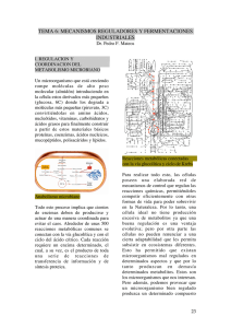 tema 6: mecanismos reguladores y fermentaciones industriales