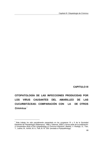capitulo iii citopatolog&iacute;a de las infecciones producidas por los virus
