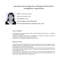 Contreras Ramos Alejandra