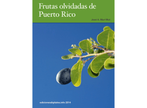 Frutas olvidadas de Puerto Rico