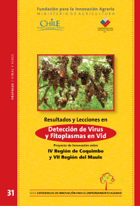 Detección de Virus y Fitoplasmas en Vid
