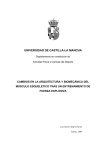 Cambios en la arquitectura y biomecánica del músculo esquelético