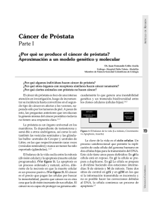 ¿Por qué se produce el cáncer de próstata?