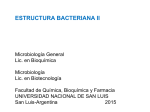 estructura bacteriana ii