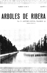 ARBOLES DE RIBERA