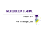 Microbiologia General