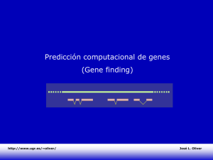 Predicción computacional de genes