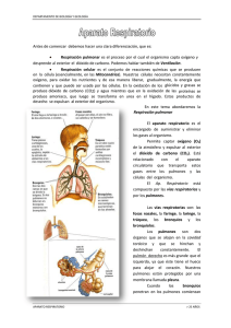 Respiración pulmonar es el proceso por el cual el organ