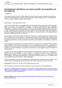 Development: Identifican una nueva posible causa genética de