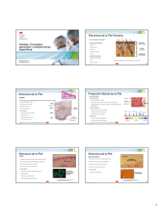 heridas conceptos 2017