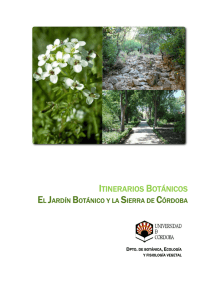 El jardín Botánico y la Sierra de Córdoba