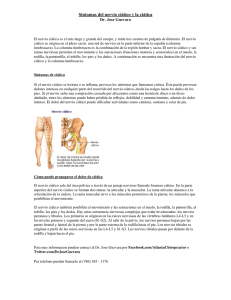 Sintomas del nervio ciático y la ciática