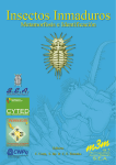 Descargar PDF - Sociedad Entomológica Aragonesa