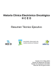 Historia Clínica Electrónica Oncológica H C E O Resumen Técnico