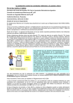 La protección contra los contactos indirectos y la puesta a tierra Por