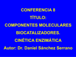 COMPONENTES MOLECULARES