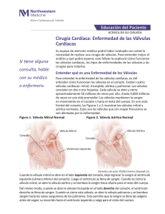 Cirugia Cardiaca, Enfermedad de las Valvulas Cardiacas