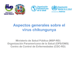 Aspectos generales sobre el virus chikungunya