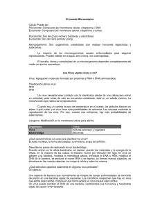 Compuesto por membrana celular, citoplasma y