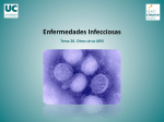 Enfermedades Infecciosas. Tema 26. Otros virus ARN