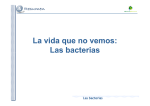 La vida que no vemos: Las bacterias Las bacterias
