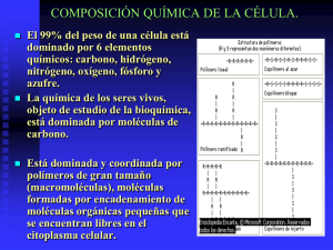 ESTRUCTURA CELULAR